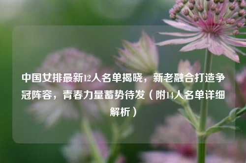 中国女排最新12人名单揭晓，新老融合打造争冠阵容，青春力量蓄势待发（附14人名单详细解析）