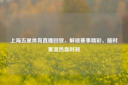 上海五星体育直播回放,解锁赛事精彩,随时重温热血时刻