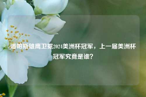 潘帕斯雄鹰卫冕2024美洲杯冠军，上一届美洲杯冠军究竟是谁？