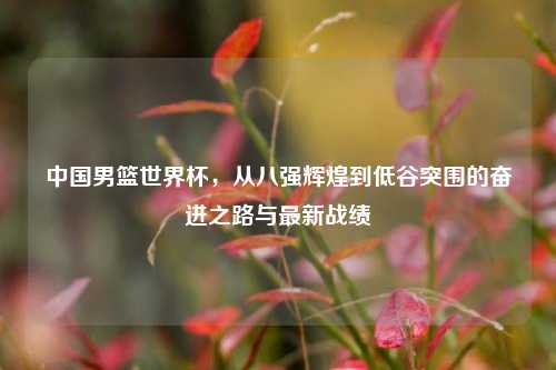 中国男篮世界杯，从八强辉煌到低谷突围的奋进之路与最新战绩