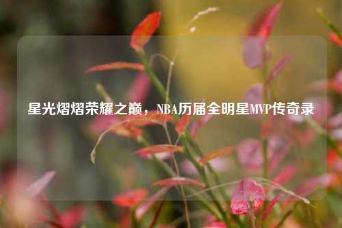 星光熠熠荣耀之巅，NBA历届全明星MVP传奇录