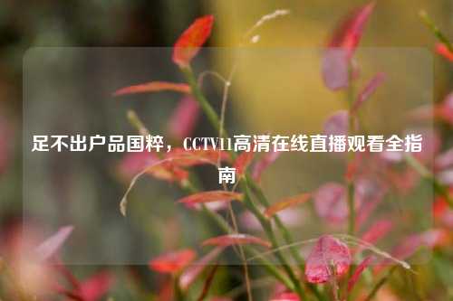 足不出户品国粹，CCTV11高清在线直播观看全指南