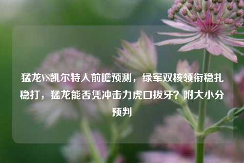 猛龙VS凯尔特人前瞻预测，绿军双核领衔稳扎稳打，猛龙能否凭冲击力虎口拔牙？附大小分预判