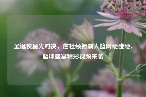 圣诞夜星光对决，詹杜领衔湖人篮网硬碰硬，篮球盛宴精彩视频来袭
