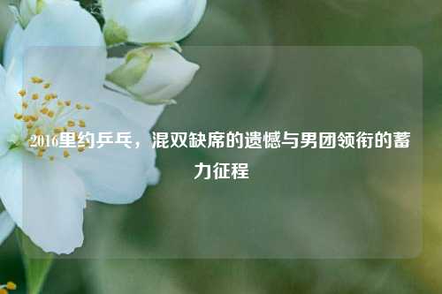 2016里约乒乓，混双缺席的遗憾与男团领衔的蓄力征程