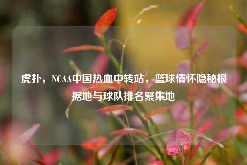 虎扑，NCAA中国热血中转站，篮球情怀隐秘根据地与球队排名聚集地