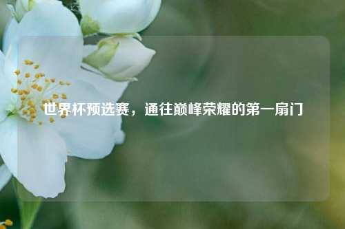 世界杯预选赛，通往巅峰荣耀的第一扇门
