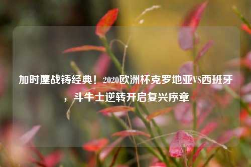 加时鏖战铸经典！2020欧洲杯克罗地亚VS西班牙，斗牛士逆转开启复兴序章