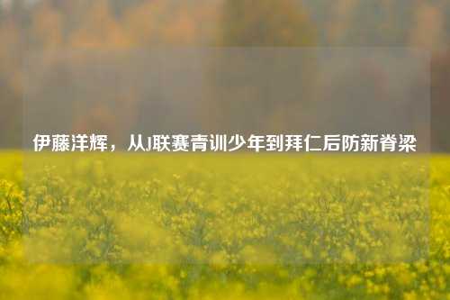 伊藤洋辉，从J联赛青训少年到拜仁后防新脊梁