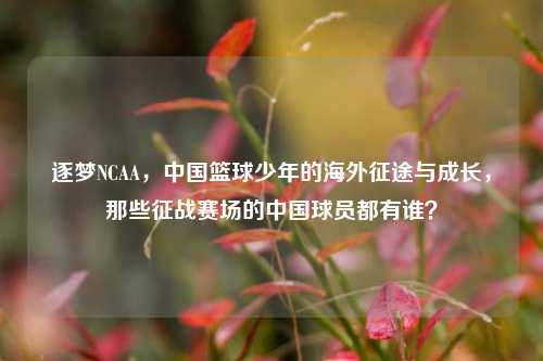 逐梦NCAA，中国篮球少年的海外征途与成长，那些征战赛场的中国球员都有谁？