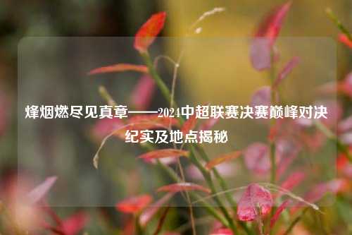 烽烟燃尽见真章——2024中超联赛决赛巅峰对决纪实及地点揭秘