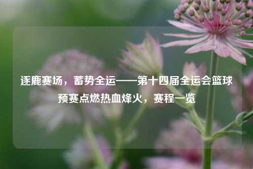 逐鹿赛场，蓄势全运——第十四届全运会篮球预赛点燃热血烽火，赛程一览