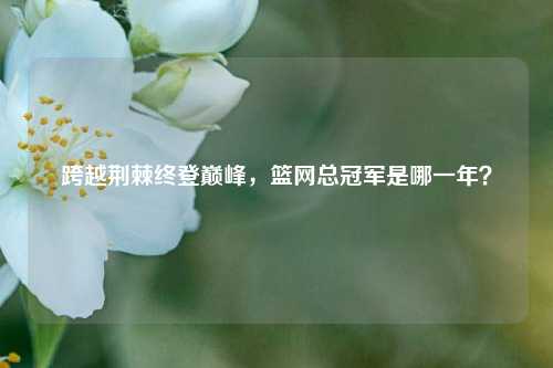 跨越荆棘终登巅峰，篮网总冠军是哪一年？