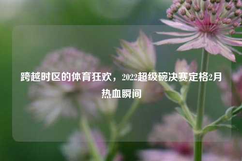 跨越时区的体育狂欢，2022超级碗决赛定格2月热血瞬间