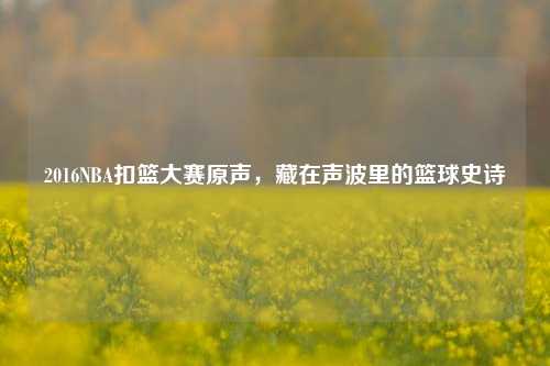 2016NBA扣篮大赛原声，藏在声波里的篮球史诗