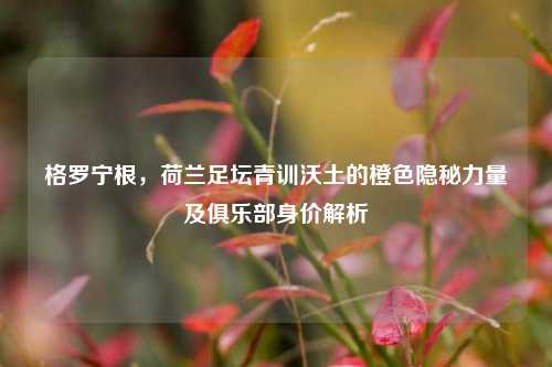 格罗宁根，荷兰足坛青训沃土的橙色隐秘力量及俱乐部身价解析