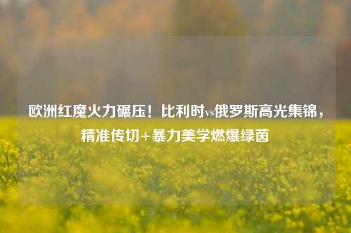 欧洲红魔火力碾压！比利时vs俄罗斯高光集锦，精准传切+暴力美学燃爆绿茵