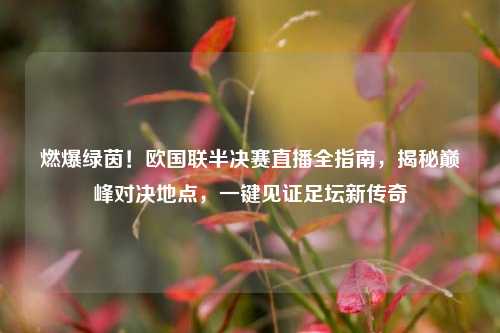 燃爆绿茵!欧国联半决赛直播全指南,揭秘巅峰对决地点,一键见证足坛新传奇