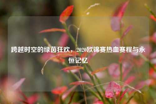 跨越时空的绿茵狂欢，2020欧锦赛热血赛程与永恒记忆
