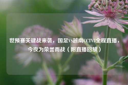 世预赛关键战来袭，国足VS越南CCTV5全程直播，今夜为荣誉而战（附直播回放）