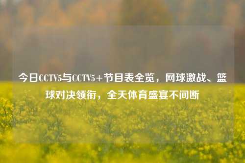 今日CCTV5与CCTV5+节目表全览,网球激战、篮球对决领衔,全天体育盛宴不间断