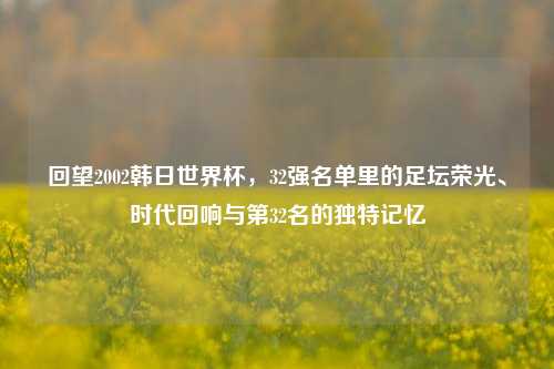 回望2002韩日世界杯,32强名单里的足坛荣光、时代回响与第32名的独特记忆