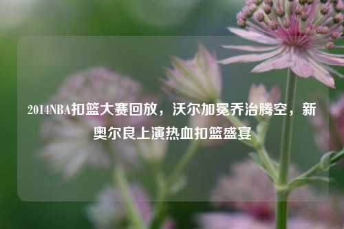 2014NBA扣篮大赛回放，沃尔加冕乔治腾空，新奥尔良上演热血扣篮盛宴
