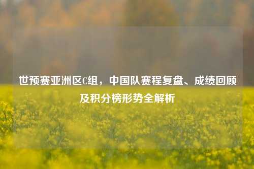 世预赛亚洲区C组，中国队赛程复盘、成绩回顾及积分榜形势全解析