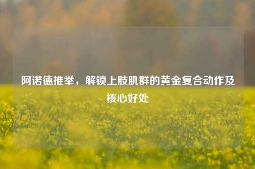 阿诺德推举，解锁上肢肌群的黄金复合动作及核心好处