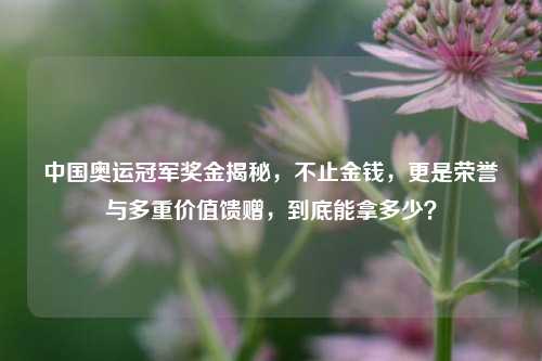 中国奥运冠军奖金揭秘，不止金钱，更是荣誉与多重价值馈赠，到底能拿多少？