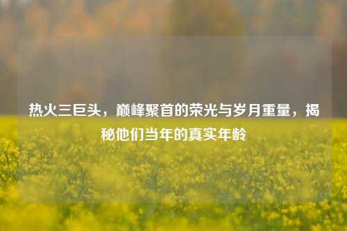 热火三巨头，巅峰聚首的荣光与岁月重量，揭秘他们当年的真实年龄
