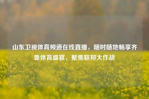 山东卫视体育频道在线直播，随时随地畅享齐鲁体育盛宴，聚焦联邦大作战