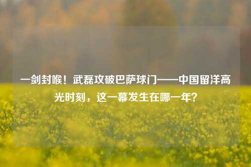 一剑封喉！武磊攻破巴萨球门——中国留洋高光时刻，这一幕发生在哪一年？