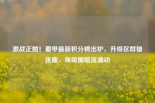 激战正酣!葡甲最新积分榜出炉,升级区群雄逐鹿,保级圈暗流涌动