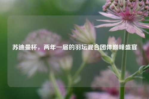苏迪曼杯，两年一届的羽坛混合团体巅峰盛宴