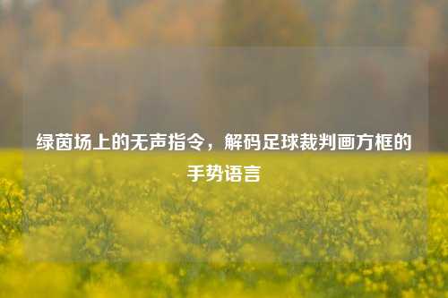 绿茵场上的无声指令，解码足球裁判画方框的手势语言
