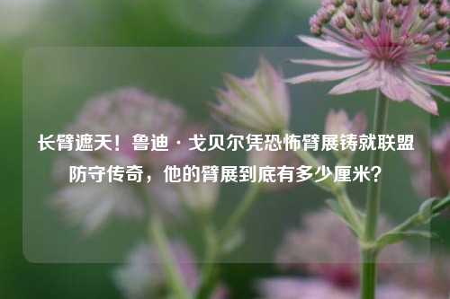 长臂遮天！鲁迪·戈贝尔凭恐怖臂展铸就联盟防守传奇，他的臂展到底有多少厘米？