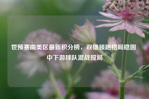 世预赛南美区最新积分榜,双雄领跑格局稳固 中下游球队混战搅局