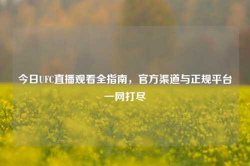 今日UFC直播观看全指南，官方渠道与正规平台一网打尽