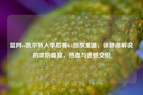 篮网vs凯尔特人季后赛G1回放重温，徐静雨解说的攻防盛宴，热血与遗憾交织