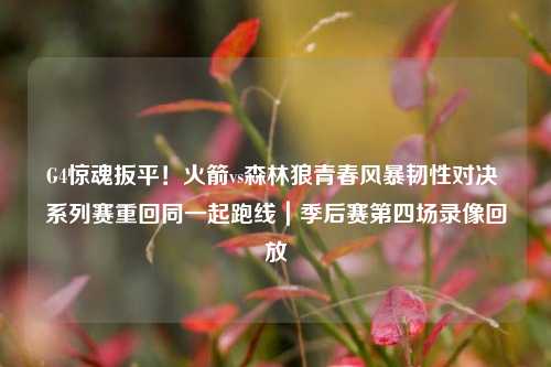 G4惊魂扳平！火箭vs森林狼青春风暴韧性对决 系列赛重回同一起跑线｜季后赛第四场录像回放