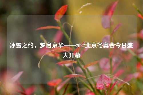 冰雪之约，梦启京华——2022北京冬奥会今日盛大开幕