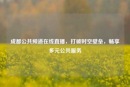 成都公共频道在线直播,打破时空壁垒,畅享多元公共服务