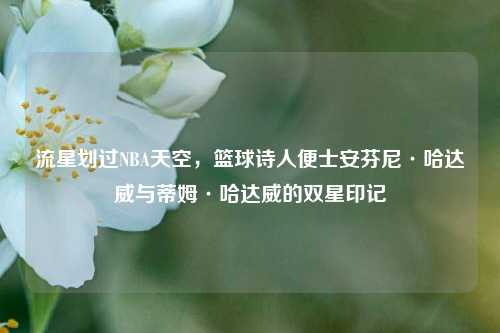 流星划过NBA天空，篮球诗人便士安芬尼·哈达威与蒂姆·哈达威的双星印记