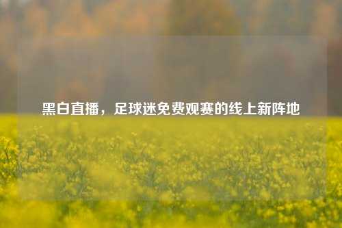 黑白直播，足球迷免费观赛的线上新阵地