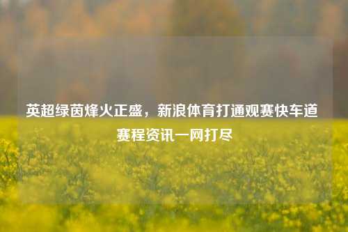 英超绿茵烽火正盛，新浪体育打通观赛快车道 赛程资讯一网打尽