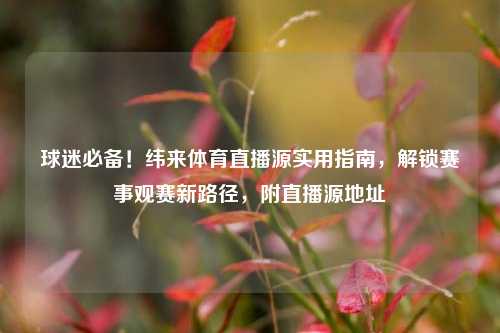 球迷必备！纬来体育直播源实用指南，解锁赛事观赛新路径，附直播源地址