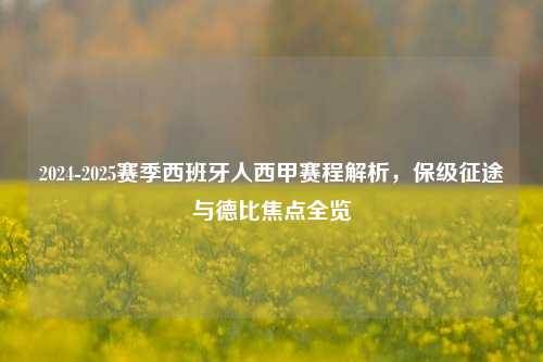 2024-2025赛季西班牙人西甲赛程解析，保级征途与德比焦点全览