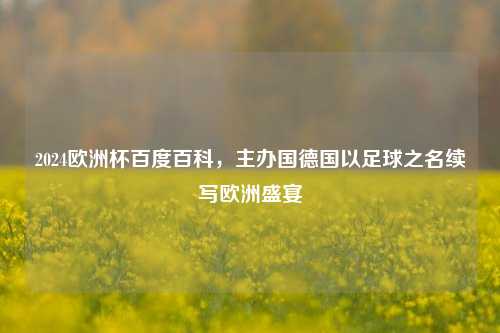 2024欧洲杯百度百科，主办国德国以足球之名续写欧洲盛宴