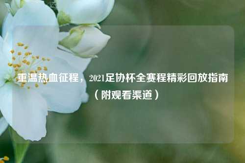 重温热血征程，2021足协杯全赛程精彩回放指南（附观看渠道）